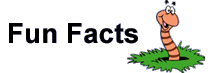 Read fun worm facts