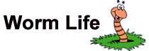 read about a worm's life