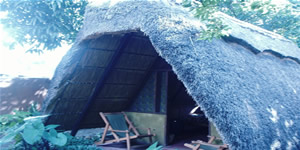 Native hut