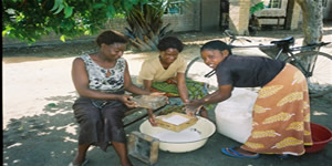 Preparing Food